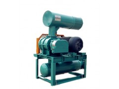 YLSR100M密集型羅茨鼓風(fēng)機(jī)