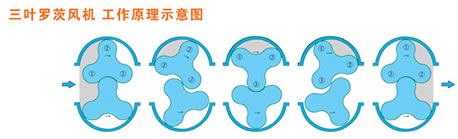 395875998404825f61bdba13f5aa841.jpg 395875998404825f61bdba13f5aa841.jpg